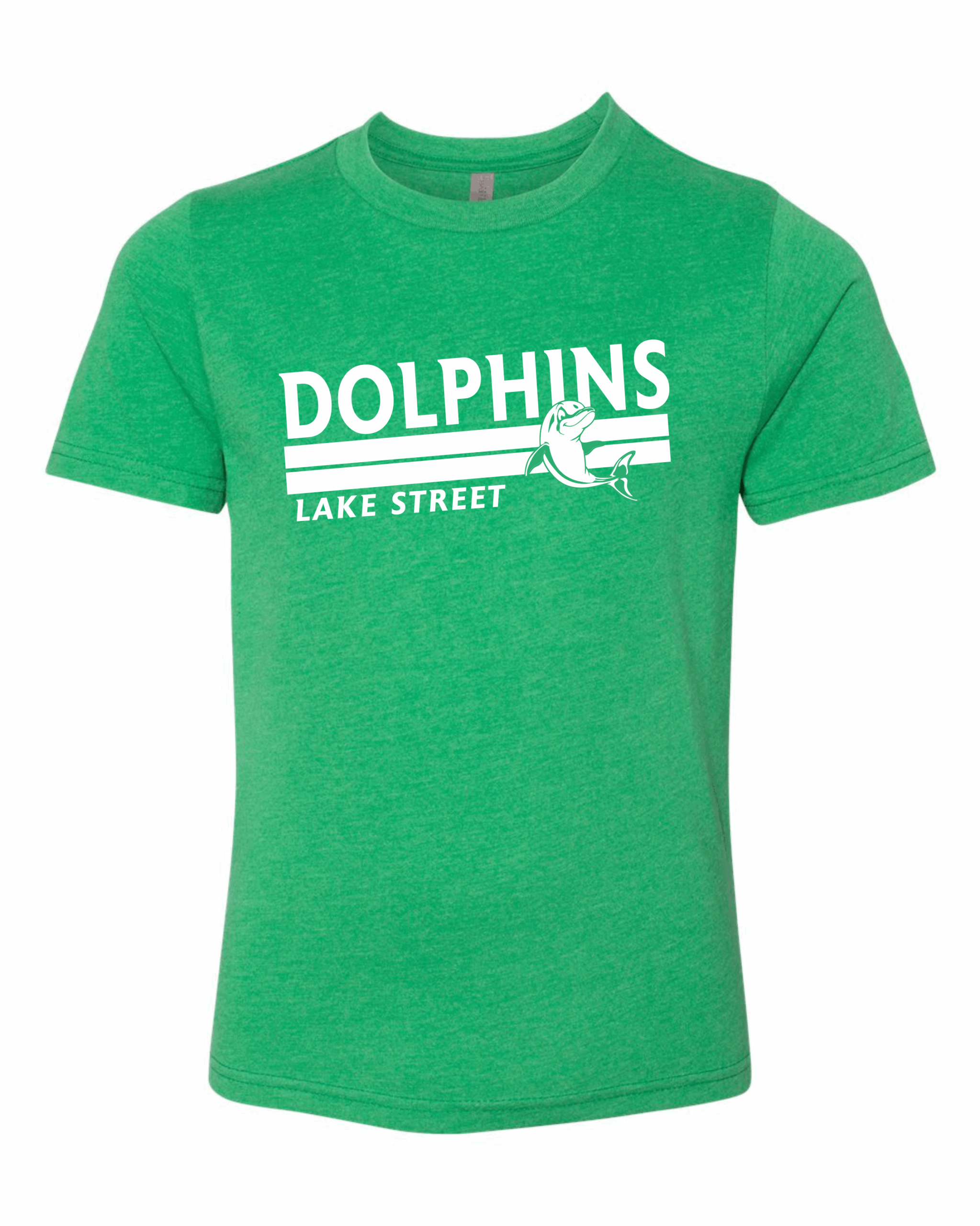 Dolphins triblend tee